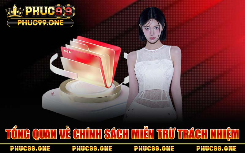Tổng Quan Về Chính Sách Miễn Trừ Trách Nhiệm