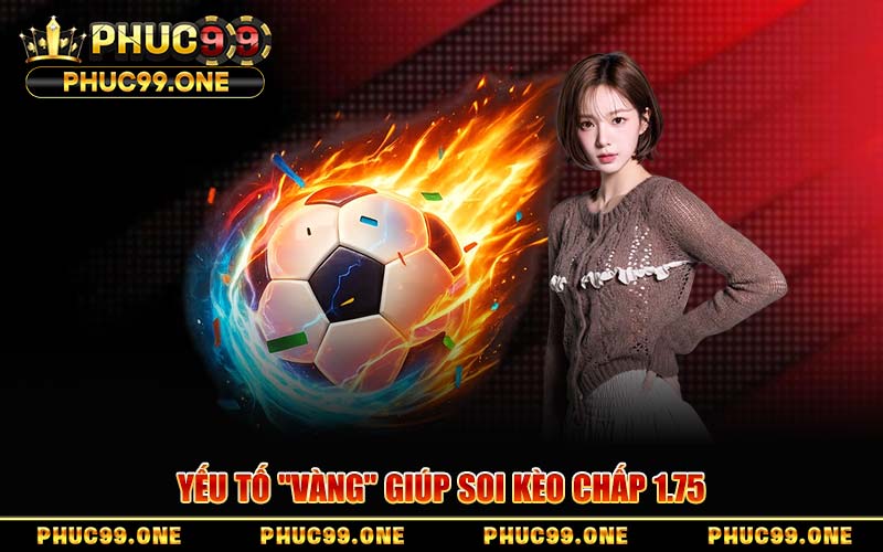 Yếu Tố "Vàng" Giúp Soi Kèo Chấp 1.75